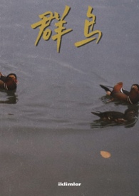 群鸟飞过湖面的句子